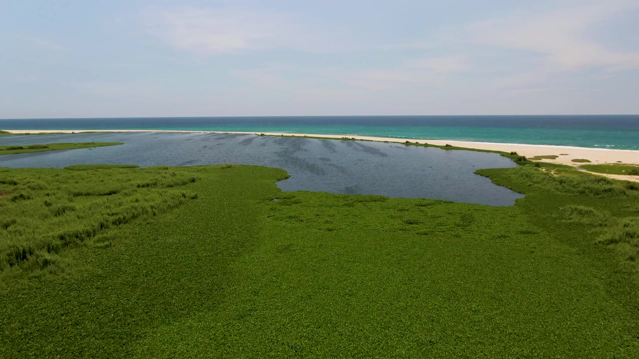 Aerial frame with lagoon at left, green marsh foreground, beach, and ocean.