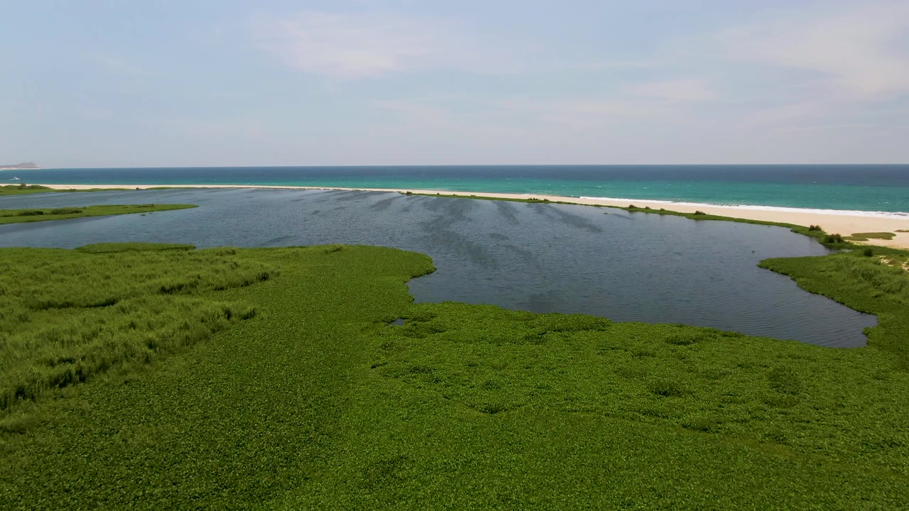 Aerial frame from San Jose Del Cabo showing dense green marsh in the foreground, a rippled lagoon, a pale beach, and blue ocean beyond, with no visible people.