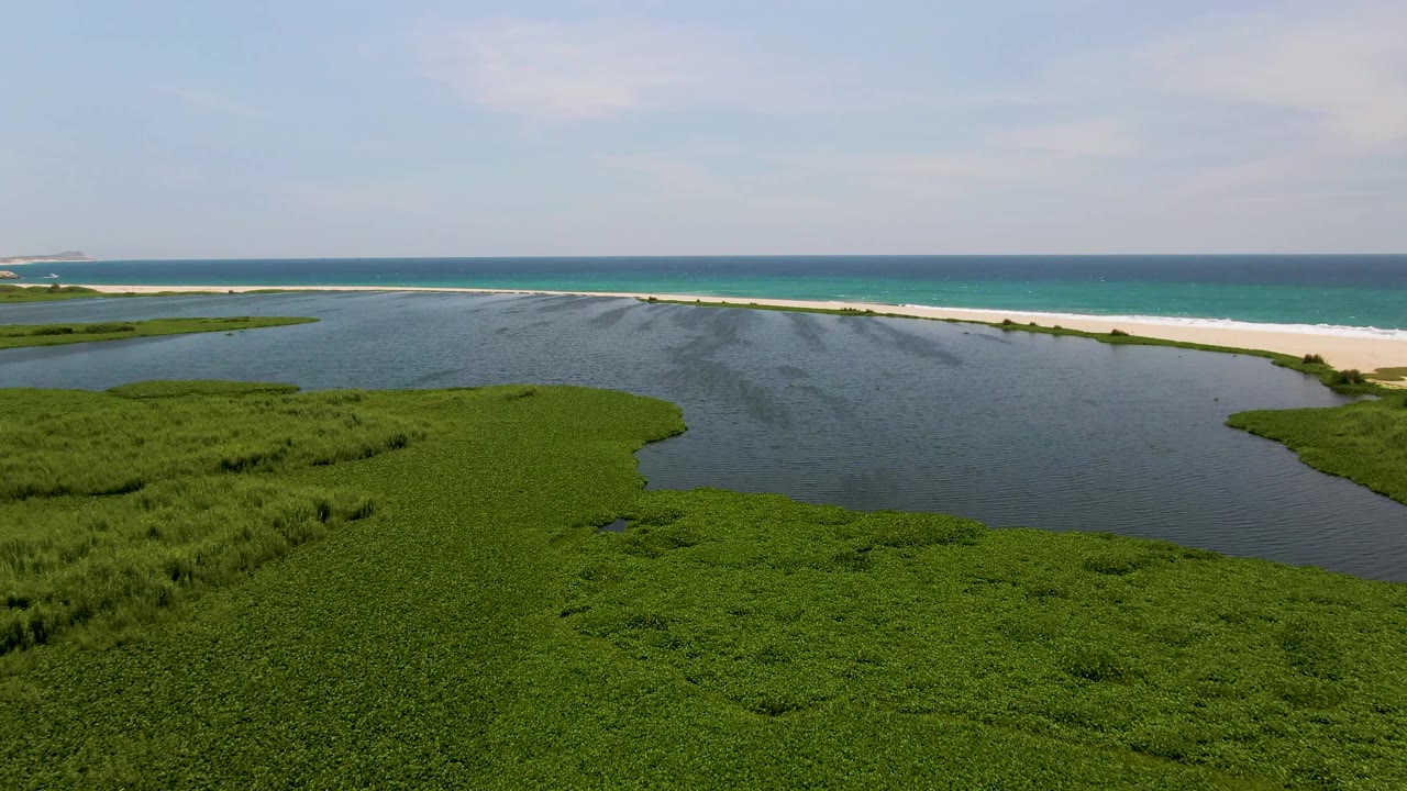Aerial view in San Jose Del Cabo with the marsh edge curving into the lagoon, a narrow sand strip across the background, and open ocean behind it, with no visible people.
