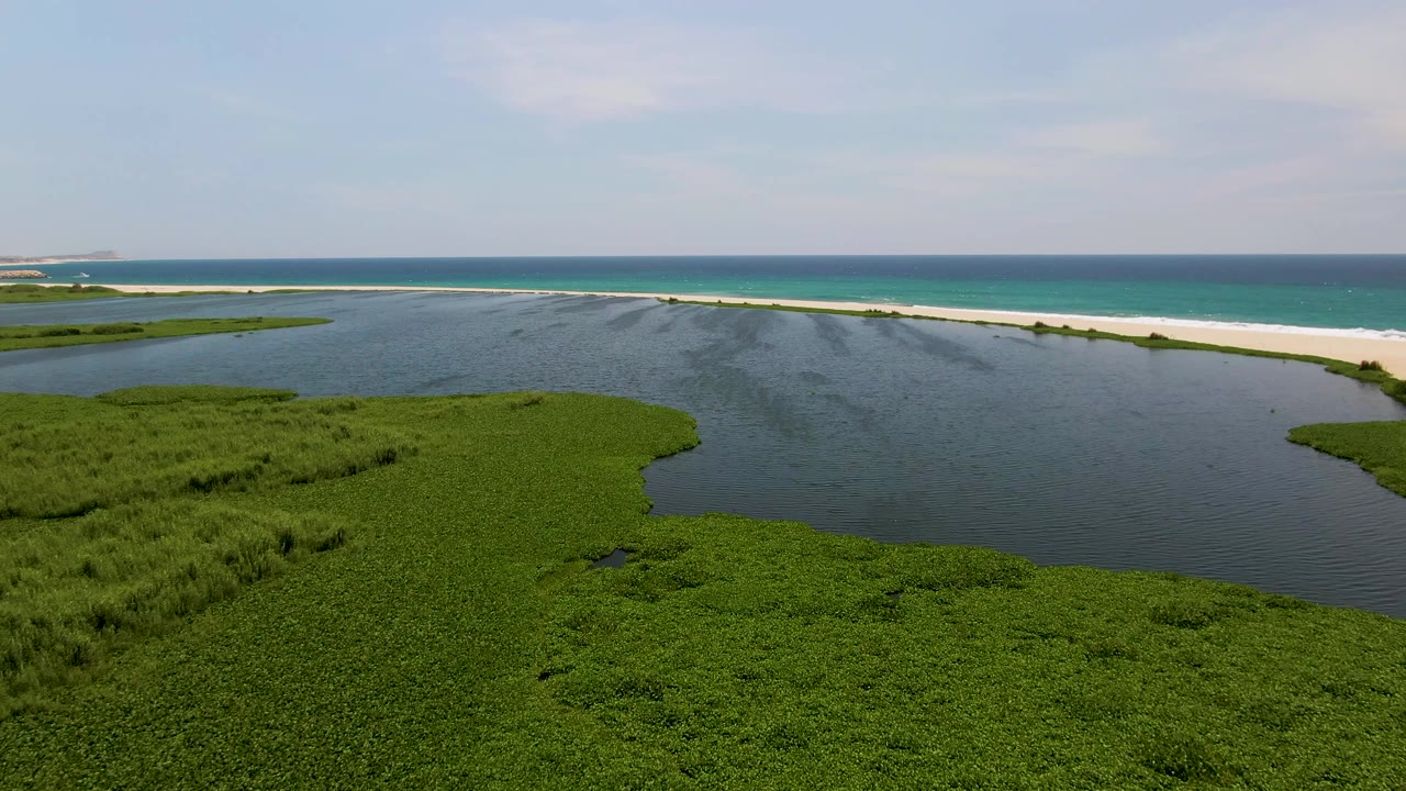 San Jose Del Cabo aerial frame showing broad green wetland vegetation below, darker lagoon water at center, and a bright beach line before the blue ocean, with no visible people.