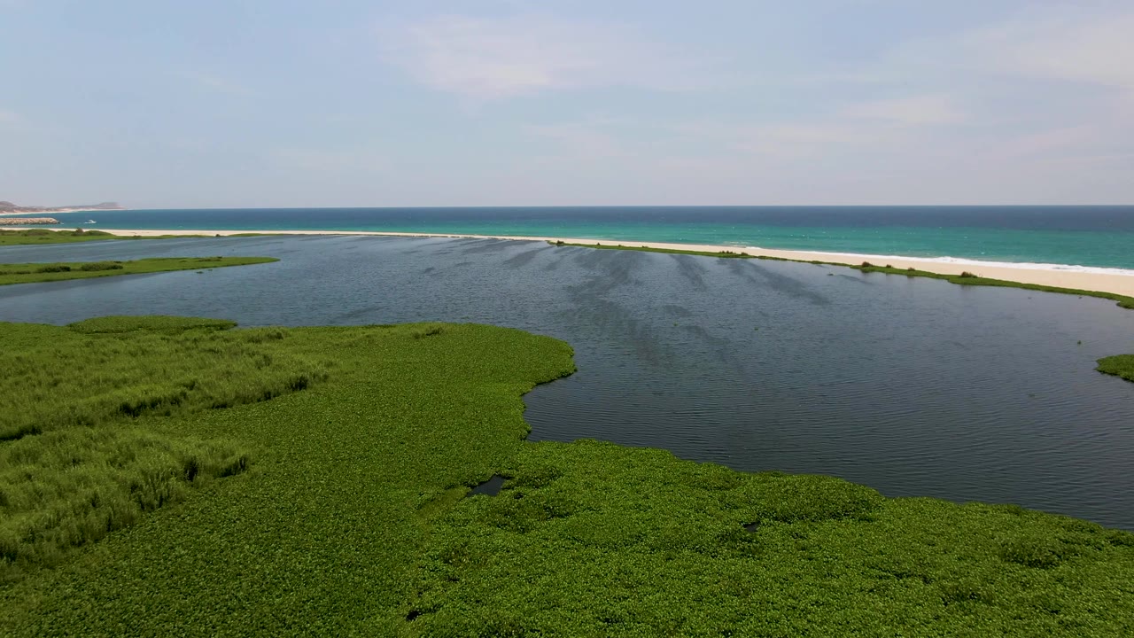 Aerial lagoon scene with marsh foreground, sandy beach, and turquoise ocean