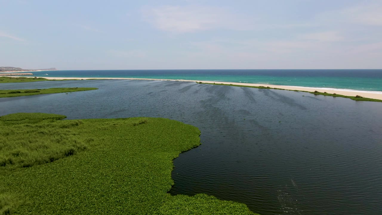 Aerial view in San Jose Del Cabo, Baja California Sur, with green wetland vegetation in the foreground, dark rippled water in the center, sandy beach and turquoise ocean beyond, and no visible people.