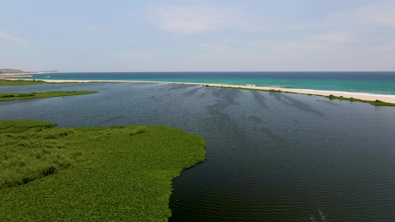 Aerial frame from San Jose Del Cabo showing the rounded edge of dense green wetland vegetation at lower left, calm lagoon water across the center, a pale sand beach, turquoise ocean, and no visible people.