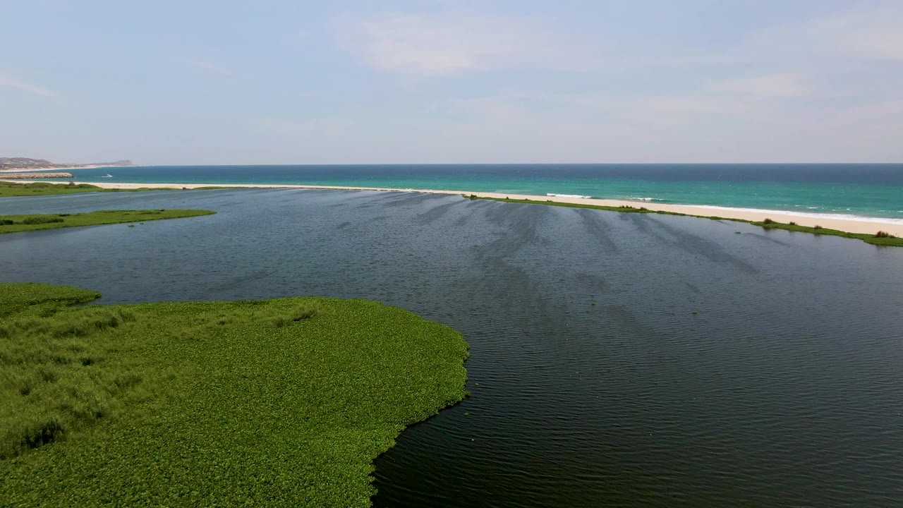 San Jose Del Cabo aerial view with a larger mass of green wetland vegetation in the lower frame, dark rippled lagoon water, a narrow sandy beach, turquoise ocean water near shore, and no visible people.
