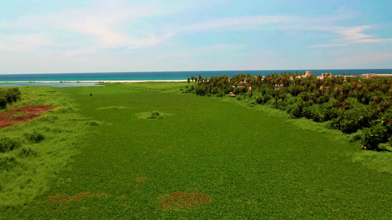 Coastal grassland with reddish patches and ocean