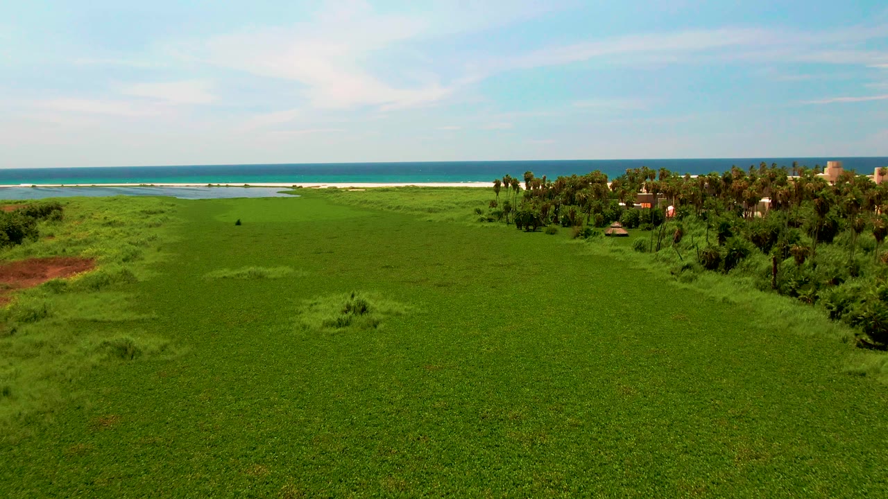 Aerial frame in San Jose Del Cabo, Mexico, with open grass across the foreground, a palm cluster and low buildings to the right, ocean surf beyond, and no visible people.
