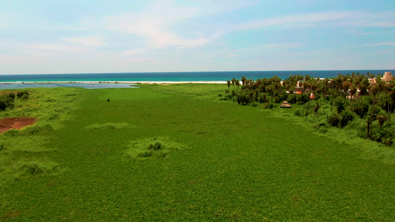 Wide San Jose Del Cabo aerial view with saturated green grass, a small dark figure or object in the field, palms and low buildings near the right edge, ocean beyond, and no visible people.