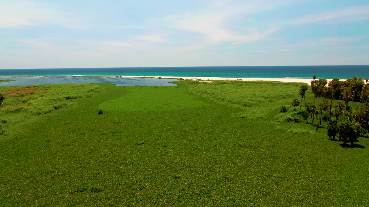 Wide green coastal plain with beach, ocean, and palm trees partly at the right edge.