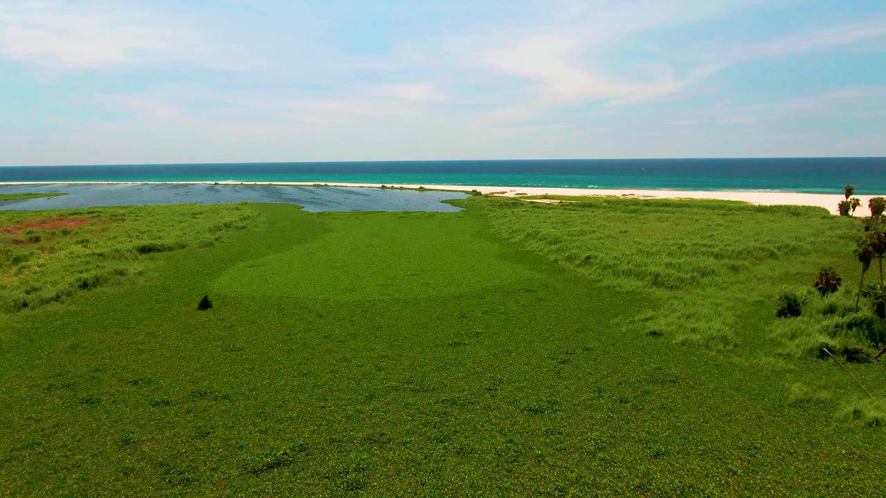 Green coastal field, lagoon, sand beach, and ocean horizon under a partly cloudy sky.