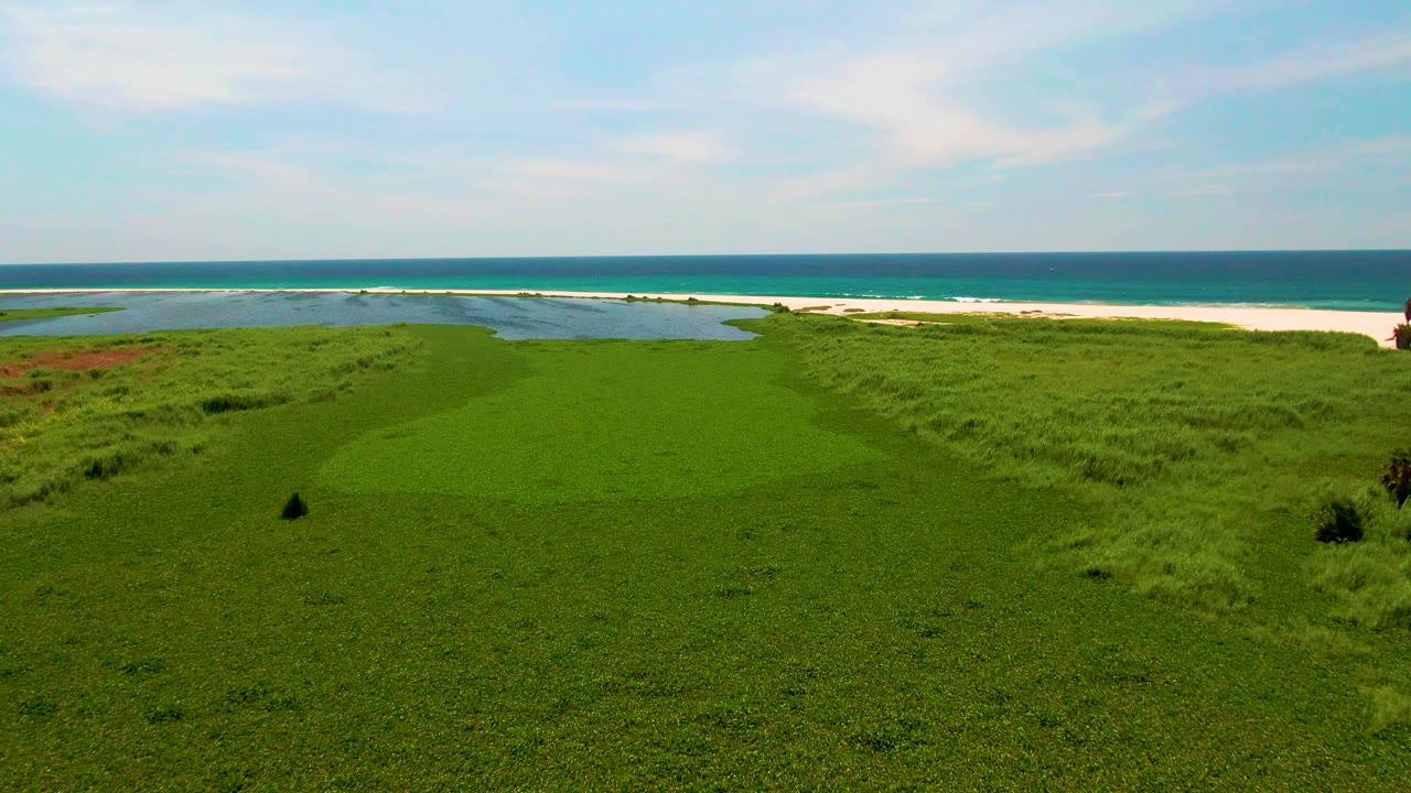 San Jose del Cabo aerial frame with dense green foreground grass, lagoon water left of center, a white sand strip, blue ocean, and no visible people.
