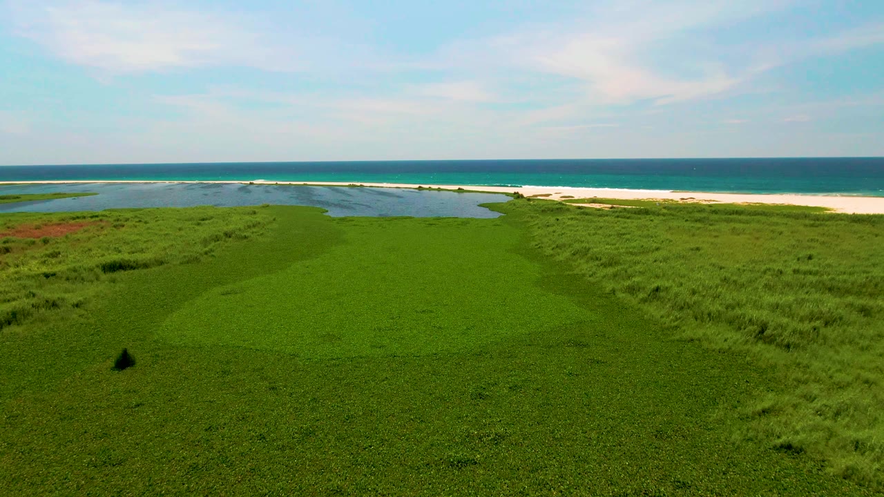 San Jose del Cabo aerial view with a wide green grass foreground, lagoon water curving across the midground, pale beach, blue ocean horizon, and no visible people.