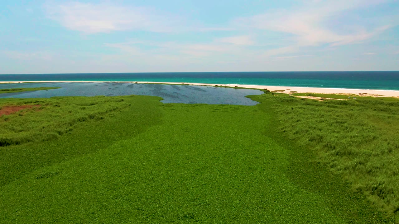 Aerial view of green coastal grass, lagoon, sandy beach, and ocean horizon.