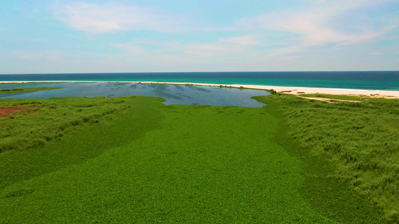 Aerial view in San Jose Del Cabo showing dense green grass in the foreground, lagoon water shifted toward the upper left, sandy beach across the middle, and no visible people.