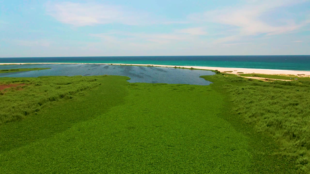 San Jose Del Cabo aerial frame with a wide green field below, lagoon water near the upper left edge, a pale sand strip, turquoise ocean, and no visible people.