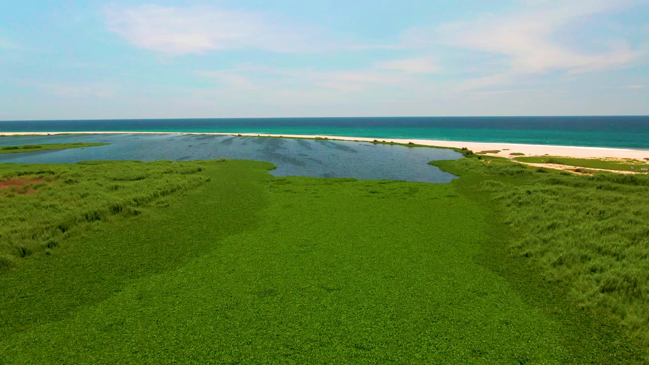 Later aerial frame over San Jose Del Cabo where the lagoon sits farther left, the sandy beach spans the middle distance, the ocean forms a level blue band, and no visible people appear.