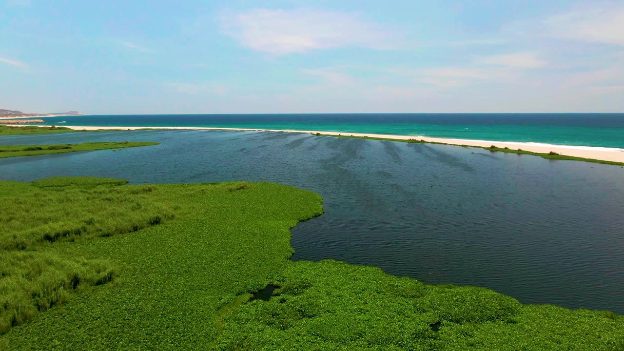 Wide aerial frame over San Jose del Cabo wetland vegetation beside a dark lagoon, with a white sandbar and blue ocean beyond, no visible people.