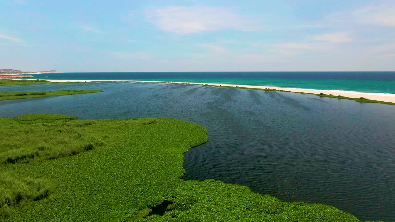Aerial view in San Jose del Cabo with dense green wetland plants at lower left, rippled lagoon water across center, and the sandbar running toward the ocean, no visible people.