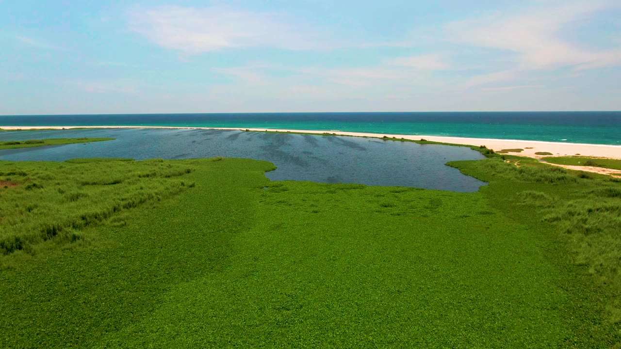 Aerial view of green coastal marsh, lagoon, sandy beach, and ocean horizon.