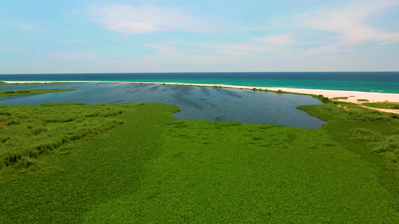 San Jose del Cabo aerial view with a broad green wetland foreground, lagoon water crossing the middle, a pale sandy shoreline, blue ocean beyond, and no visible people.