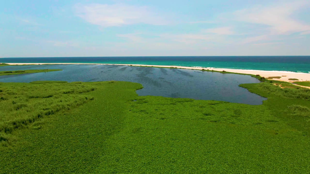 Aerial frame over San Jose del Cabo showing marsh vegetation wrapping around dark lagoon water, with a bright sand beach and turquoise ocean in the background and no visible people.