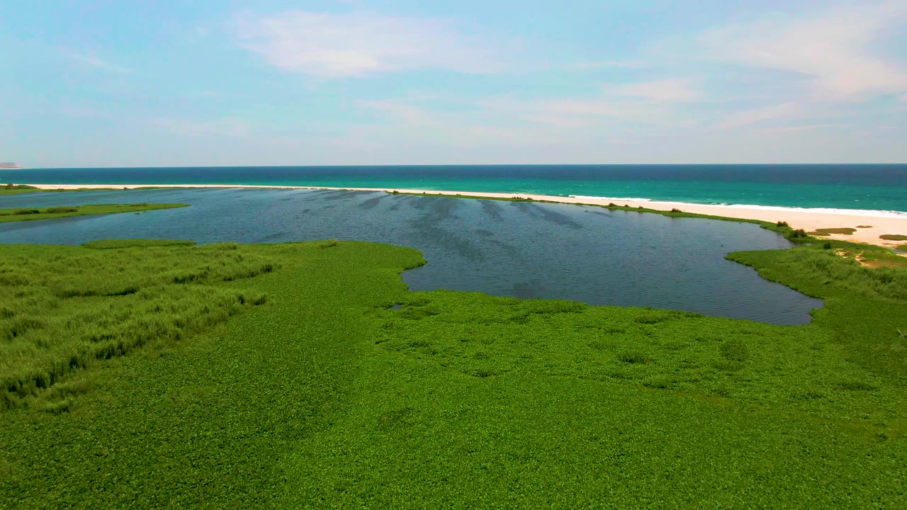 San Jose del Cabo wetland aerial with dense green foreground grass, calm lagoon water, a narrow sandy beach line, blue ocean, and no visible people.
