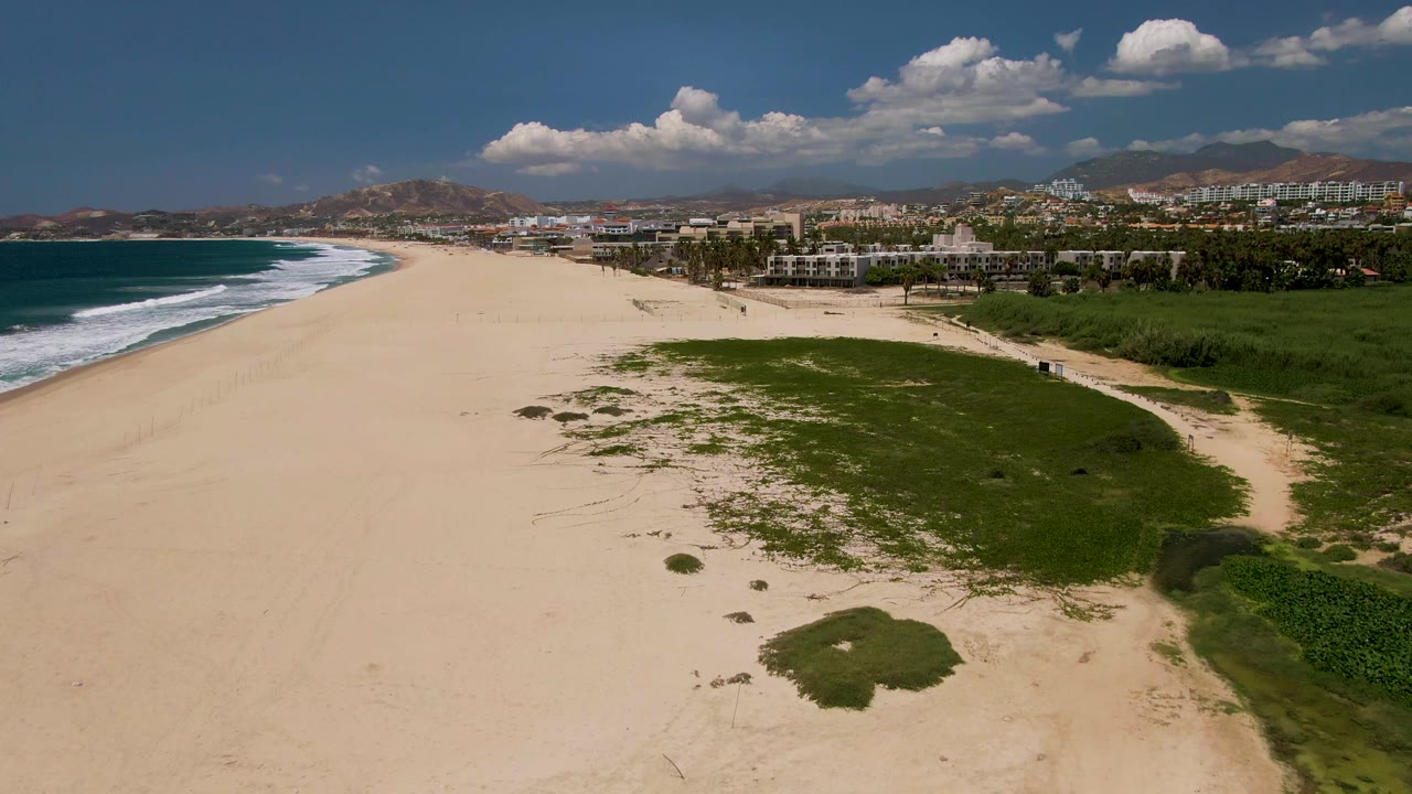 San Jose del Cabo beach seen from above with a broader sand area in the foreground, scattered green vegetation across the dunes, waves tracing the left edge, buildings inland, mountains beyond, and no visible people.