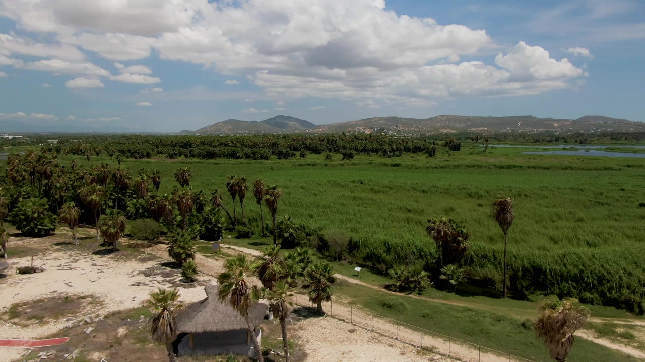 Aerial frame in San Jose del Cabo, Baja California Sur showing sandy foreground, palm trees, a small thatched hut, green fields, distant hills, scattered clouds, and no visible people.