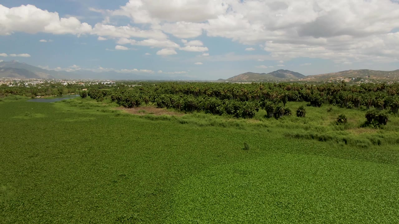 Wide aerial frame in San Jose del Cabo, Baja California Sur, looking across bright green fields toward trees, a small water body, low mountains, scattered clouds, and no visible people.