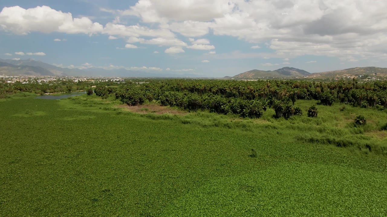 Aerial frame from San Jose del Cabo, Baja California Sur, with green ground cover filling the foreground, darker trees and water near the horizon, mountains behind them, and no visible people.