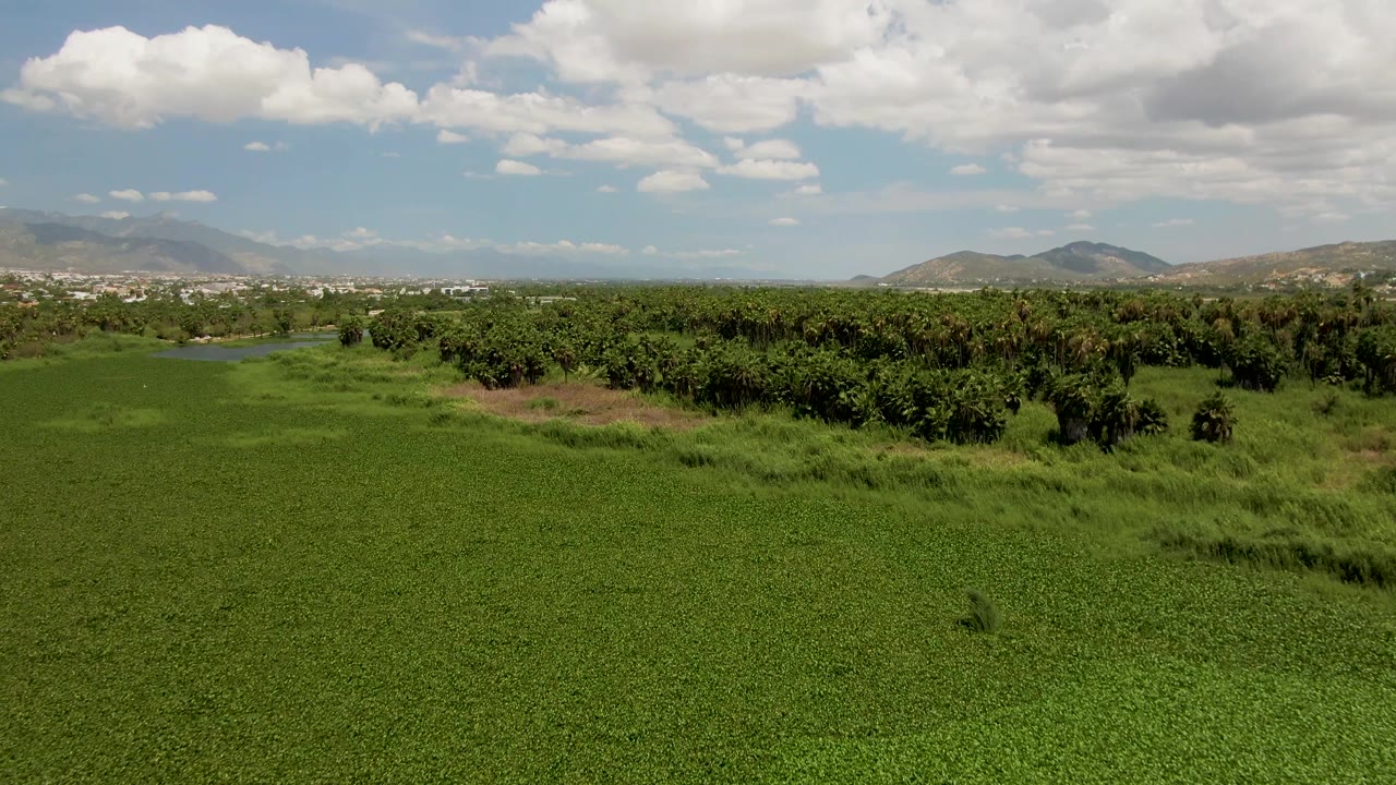 Aerial view of field, trees, water, town edge, mountains, and clouds