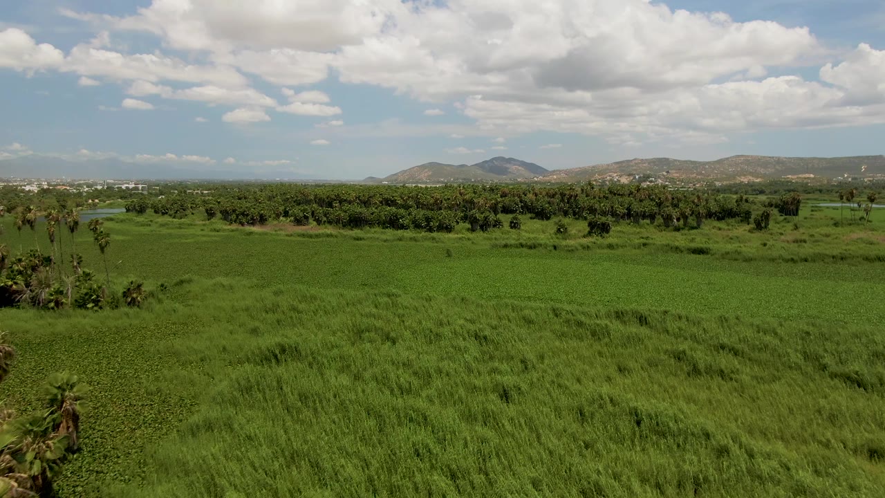 Opening aerial view over green fields near San Jose del Cabo, Mexico, with a tree line, distant hills, scattered clouds, and no visible people.