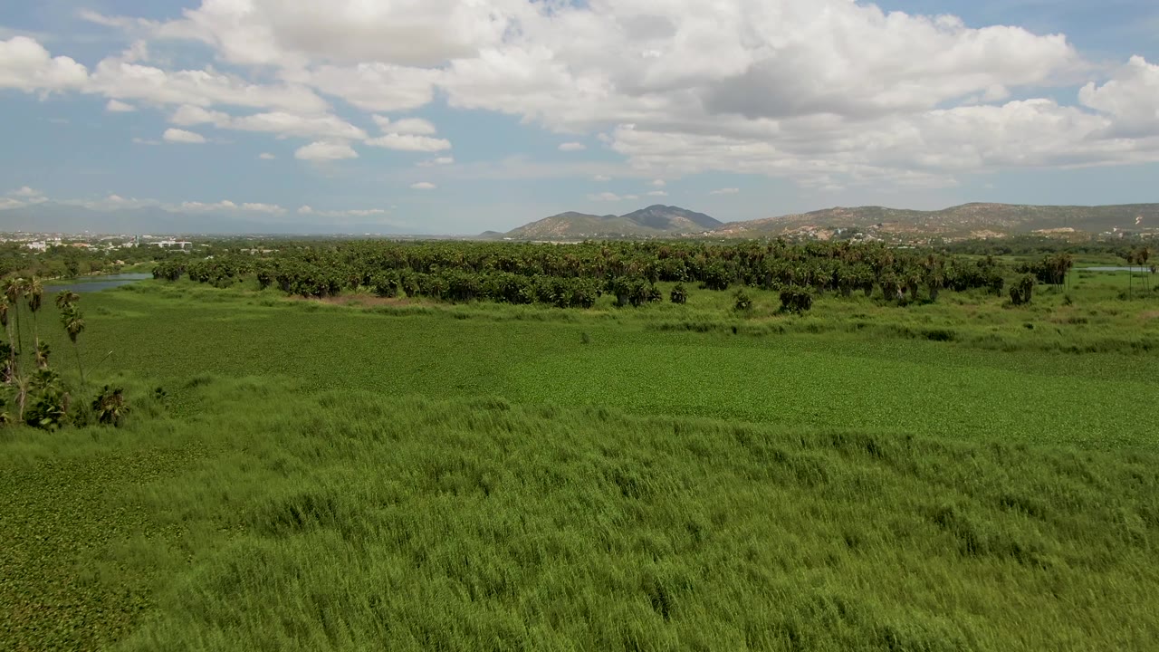 Wide drone view across green vegetation with palms, trees, hills, and clouds.
