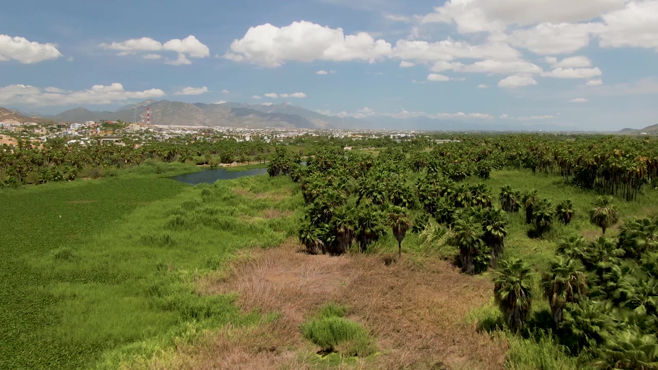 A wide San Jose del Cabo aerial view shows green fields in front, a small water body near the left midground, dense palms to the right, a distant town, and no visible people.