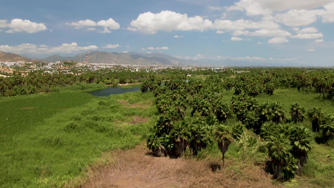 San Jose del Cabo farmland spreads below the aerial camera, with a small water body left of center, palms in the midground, a distant town and mountains, and no visible people.