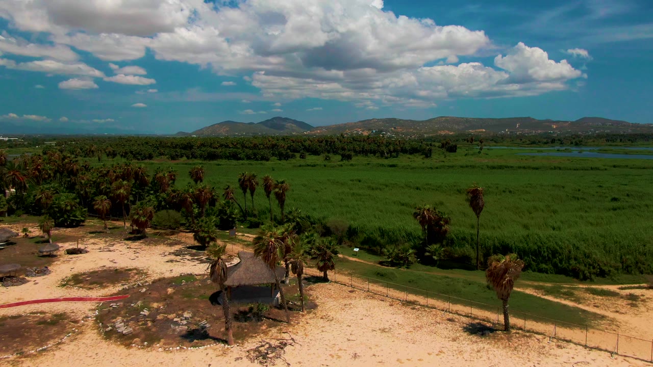 Wide aerial view of sand, palms, dense green fields, low hills, and clouds.
