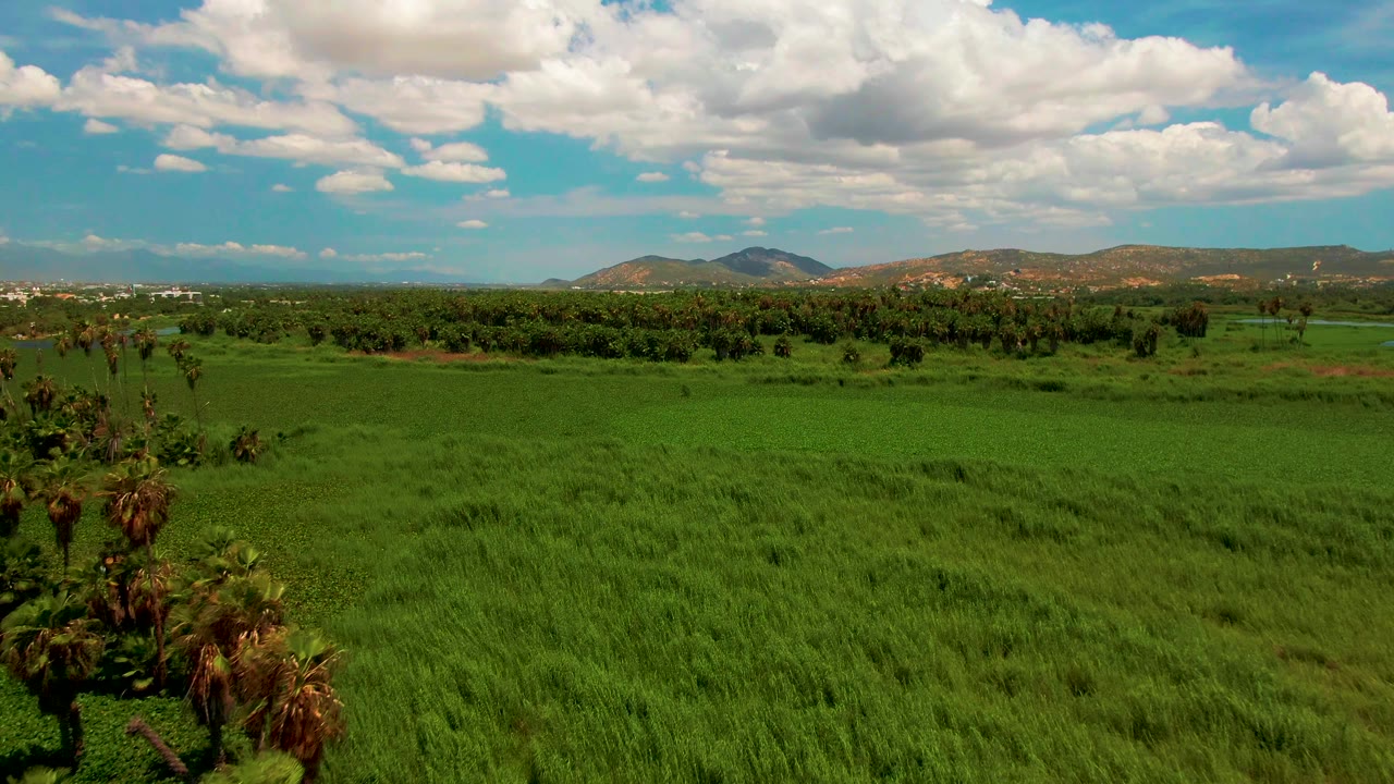 Green fields stretch toward palms, distant hills, and partly cloudy sky.