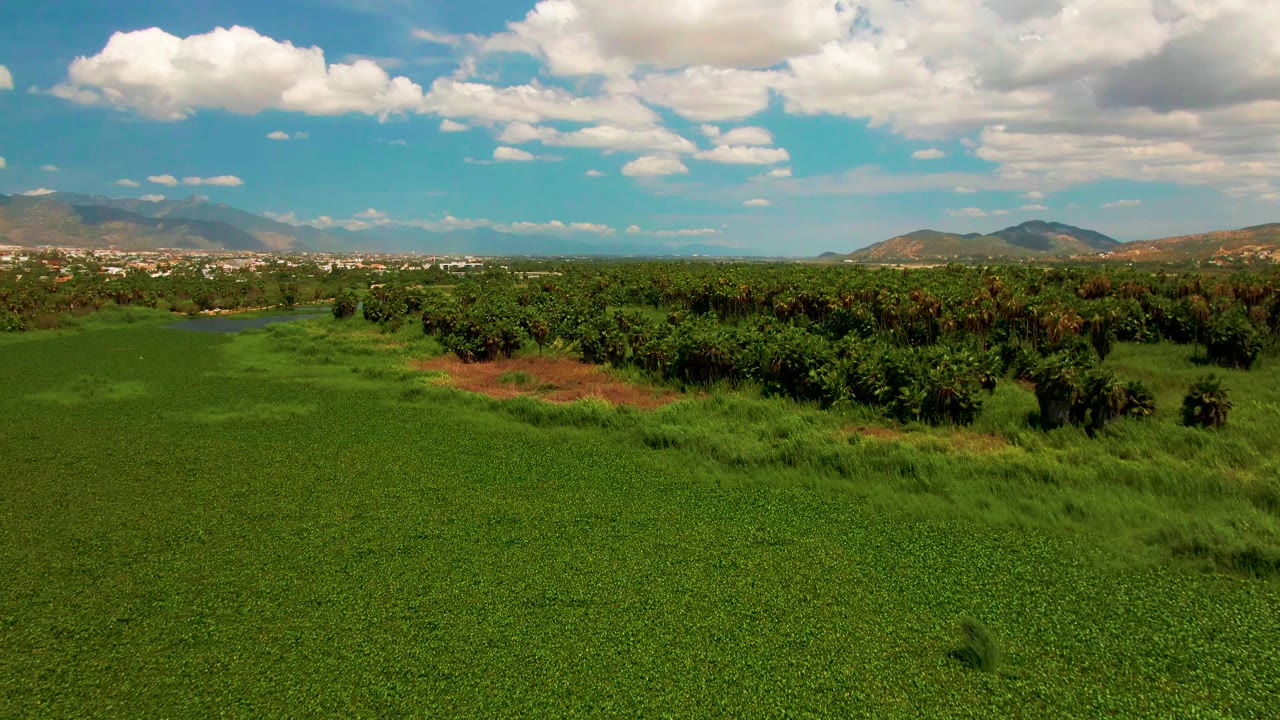 Aerial view of green fields, trees, distant town, mountains, and clouds.