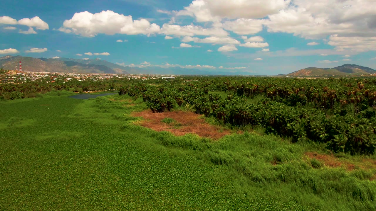 San Jose del Cabo aerial view showing green fields, a tree line, a small water patch, distant buildings, a communication tower at left, mountains, and no visible people.