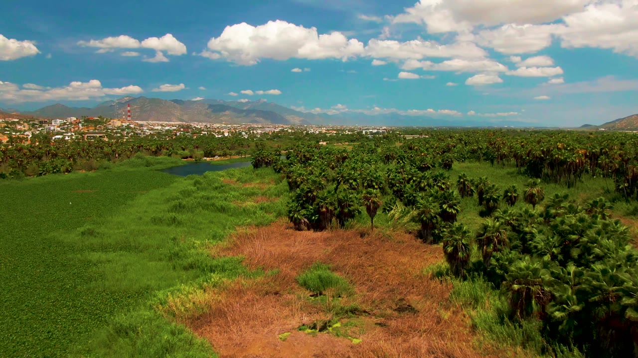 Aerial view near San Jose del Cabo showing green fields, palms, a brown earth patch, distant town buildings, mountains, and no visible people.