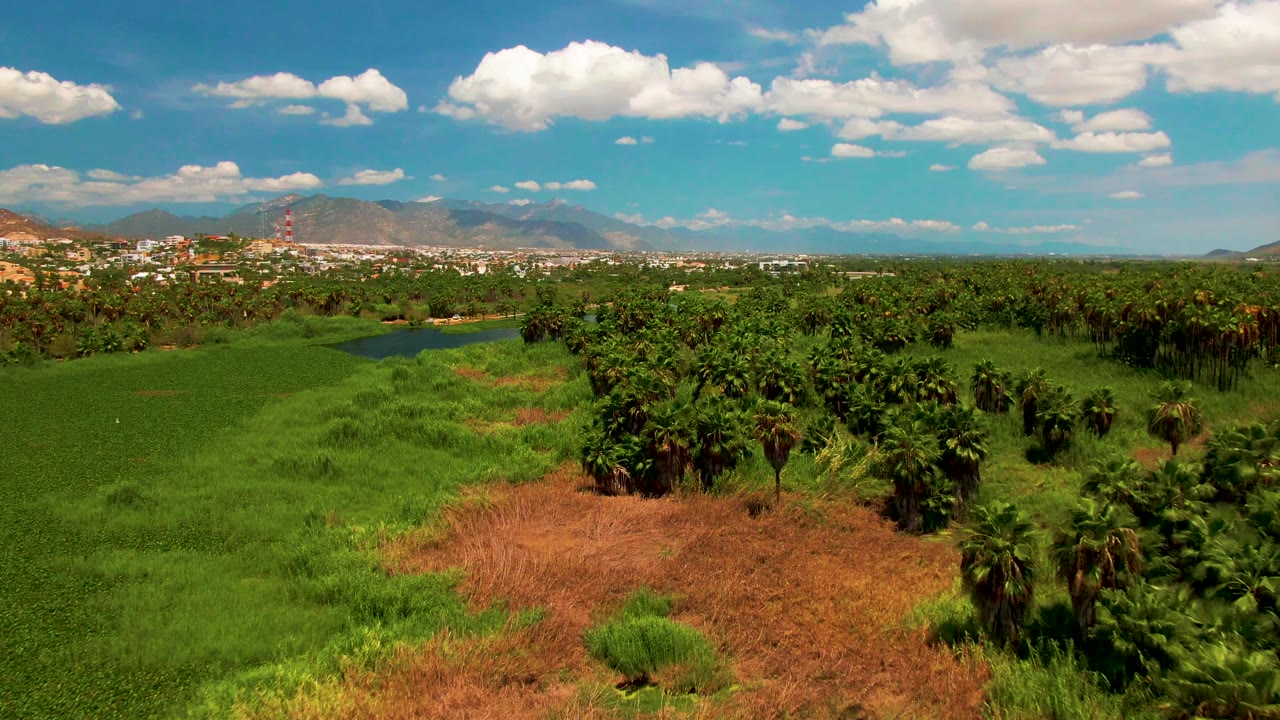 Wide aerial frame near San Jose del Cabo with a small water body left of center, palm groves across the midground, distant town structures, mountains, and no visible people.