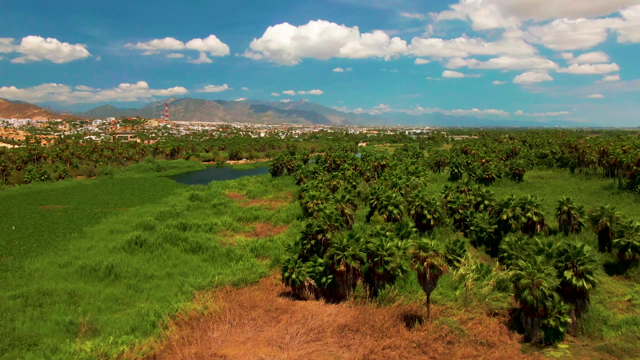 Aerial frame near San Jose del Cabo with a dirt path and brown field in the foreground, green vegetation and palms through the center, a small water body, mountains, and no visible people.