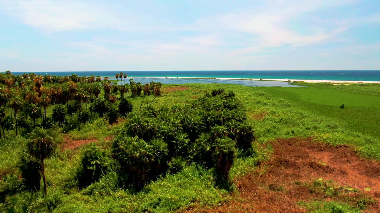 Early frame from San Jose del Cabo showing dense green coastal vegetation, scattered palms, red soil in the foreground, shoreline and ocean beyond, with no visible people.