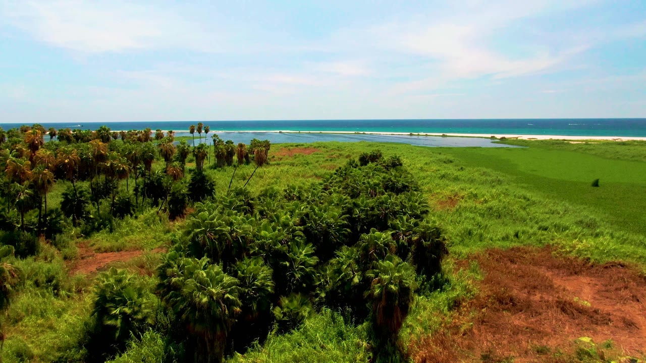 Wide aerial coastline with palms, green grass, red earth, and ocean.