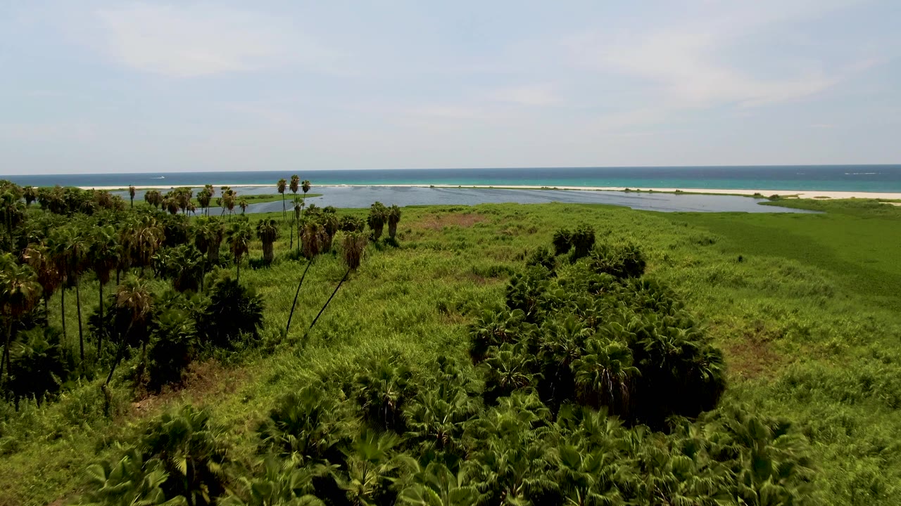 Early frame shows the drone view continuing across palm groves and thick green grass in San Jose del Cabo, Mexico, with a narrow sandbar and blue ocean beyond, no visible people.