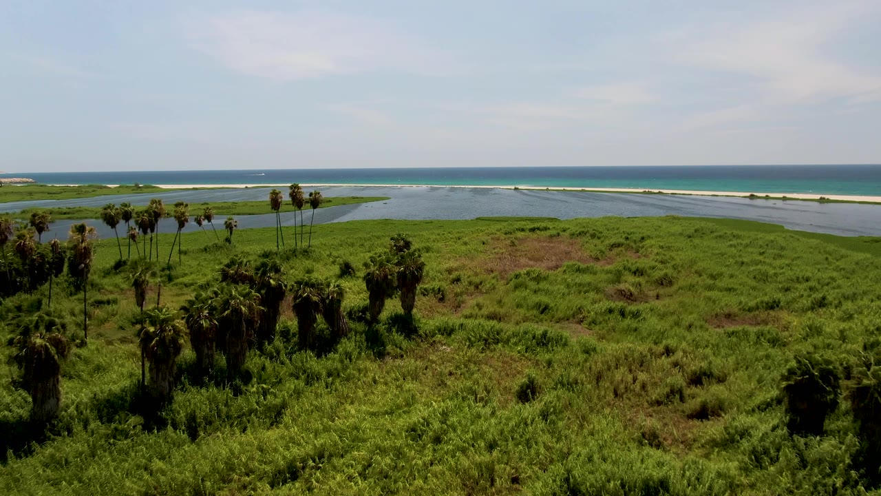 San Jose del Cabo coastal meadow seen from above, with darker palm silhouettes in the lower frame, lagoon water across the middle, ocean surf beyond the sand, and no visible people.