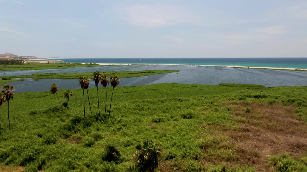 Aerial view of palm trees at left over marsh grass, lagoon, and blue ocean.