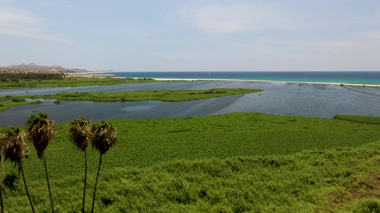 Aerial view in San Jose del Cabo with palm trees still visible near the lower center, dense green marsh below, shallow water channels in the midground, ocean on the horizon, and no visible people.