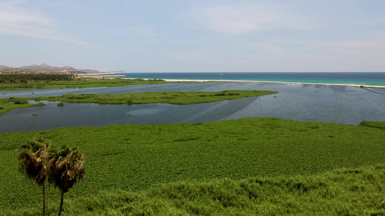 San Jose del Cabo aerial frame where the palm trees drop lower in the composition, opening more view of the green wetland, calm water channels, pale surf line, distant hills, and no visible people.