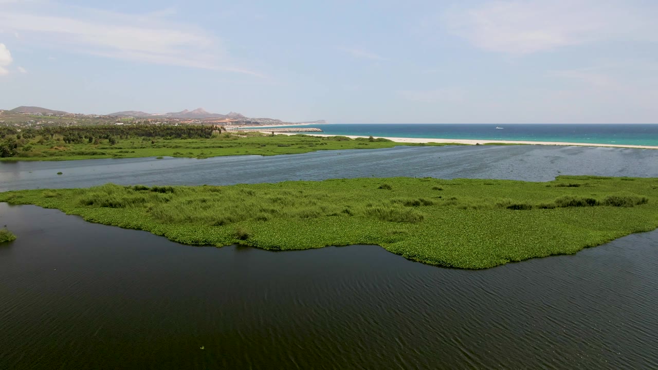 Second frame from the San Jose del Cabo lagoon shows the camera closer to the green plant mass, with rippled dark water below, a thin sandy beach, blue ocean, low hills, pale clouds, and no visible people.