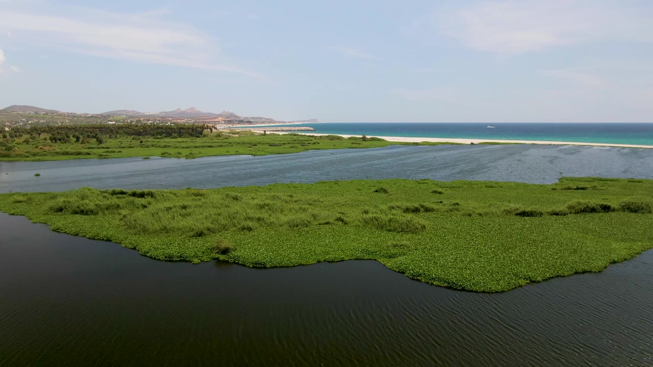 Aerial view in San Jose del Cabo with the green lagoon vegetation occupying more of the lower frame, dark water channels at the edge, the bright beach and blue ocean behind, and no visible people.